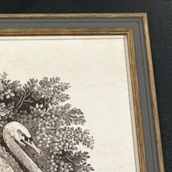 NWT Vintage Swan Print Art Nursery Decor Bird Etching Farmhouse Cottagecore - Picture 7 of 10